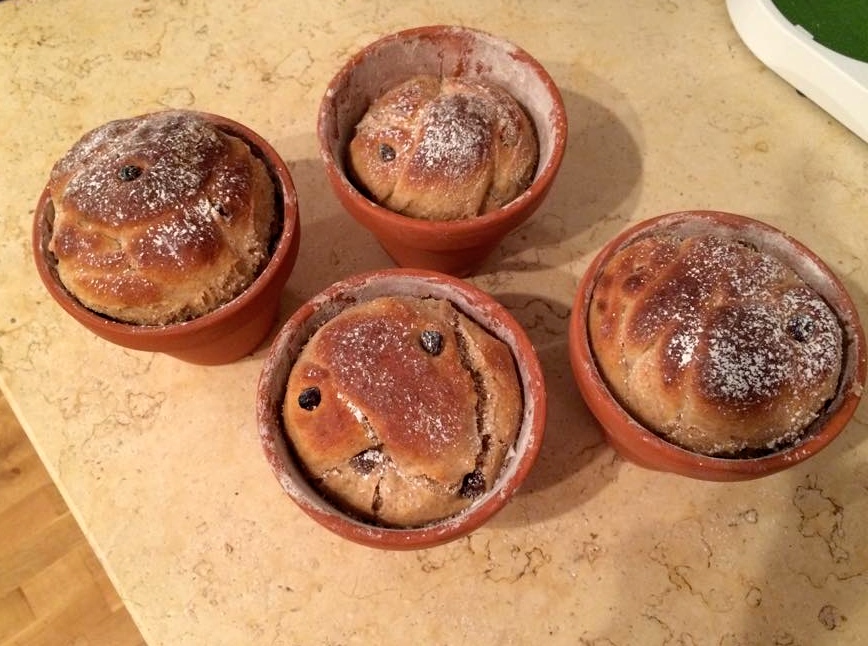 Germzopf im Blumentopf